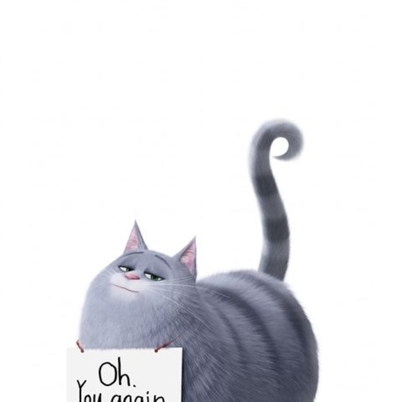 Meet your Posher, Roxan - Picture 1 of 1